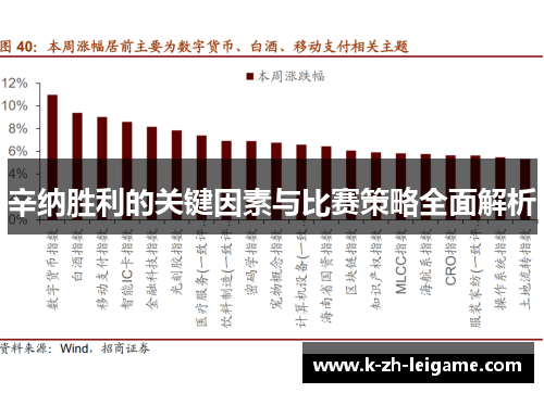 辛纳胜利的关键因素与比赛策略全面解析